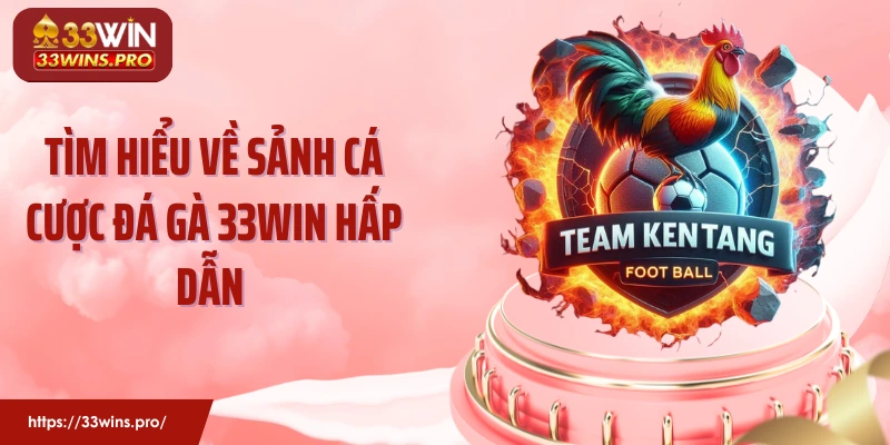 Tìm hiểu về sảnh cá cược đá gà 33Win hấp dẫn